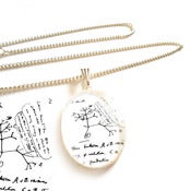 Image of Charles Darwin Transmutation of Species Necklace