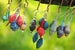 Image of Beautiful Funky Paper Earrings