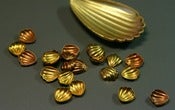 Image of  Simple Scallop, large and small