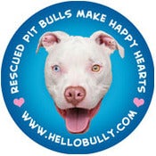 Image of Hello Bully Happy Hearts Magnet