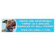 Image of Hello Bully Proud and Responsible Owner Car Magnet