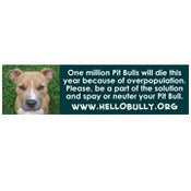 Image of Hello Bully Spay Neuter Magnet