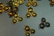 Image of Floral Termination