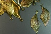 Image of Winged Leaf