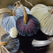 Image of Velvet Plush Pumpkin Elegant Holiday Large Set