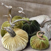 Image of Velvet Plush Pumpkin Holiday Greens Large Set 