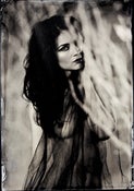 Image of Brittany #4 Print from Tintype 