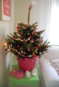 Image of 300 Felted Balls- Mixed colors