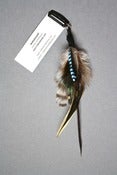 Image of Plumes Azur 1