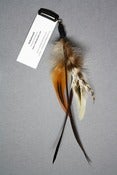 Image of Plumes Natural 3