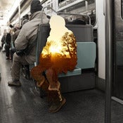 Image of Untitled 21