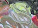 Image of Large Stroked Mural.