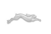 Image of Racing Hare Brooch