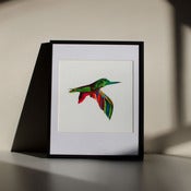 Image of Humming Bird #1