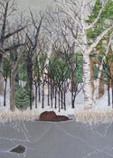 Image of winter pond, ice