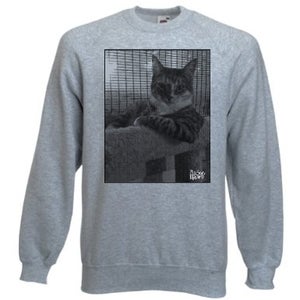 Image of Big Scary Monsters cat sweatshirt
