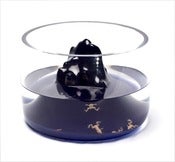 Image of Space Mountain Fishbowl