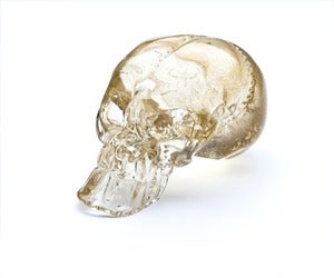 Image of Guilded Skull
