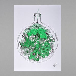 Image of Terrarium