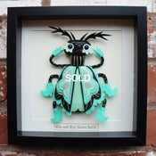 Image of Wide-eyed Mint Winter Beetle