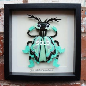 Image of Wide-eyed Mint Winter Beetle