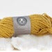 Imatge de Llana Xisqueta "tint natural": grocs, bruns