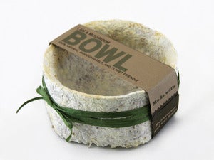Image of Mushroom Bowl