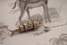 Image of vintage fish necklace