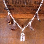 Image of Bottle Necklace