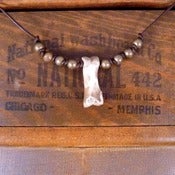 Image of Bone