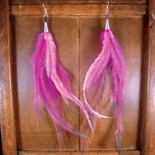 Image of Emu Feather Earrings