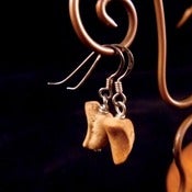 Image of Bone Earrings