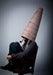 Image of the Dunce Bag