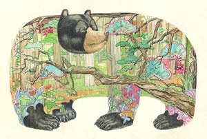 Image of Bear In the Forest - print