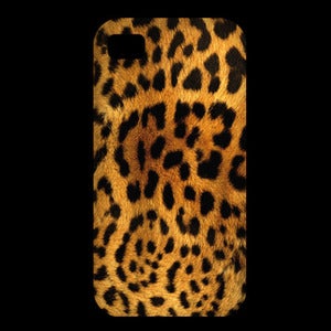 Image of Leopard