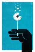 Image of I Made A Wish
