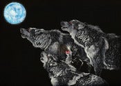 Image of Meowl at the Moon