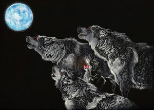 Image of Meowl at the Moon