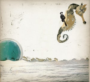 Image of Seahorse