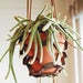 Image of Leather Plant Hanger