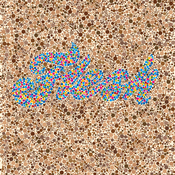 Image of ColorBlind