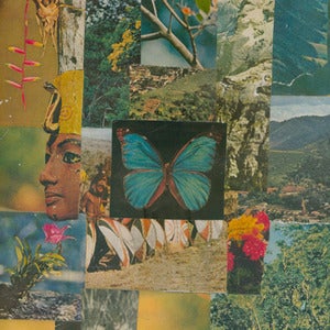 Image of Brandon McLean | Lazy Butterfly