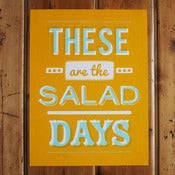 Image of Salad Days Poster