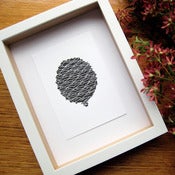 Image of Bunya 6 (Bunya Series)