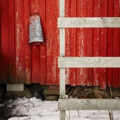 Image of Pail