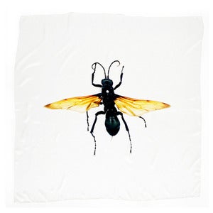 Image of Stanley Silk Scarf