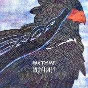 Image of Cosmology LP