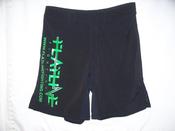 Image of Flatline Fighting Shorts