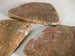 Image of Stonester 11