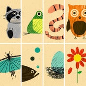 Image of Forest Biology Series (8 Prints)